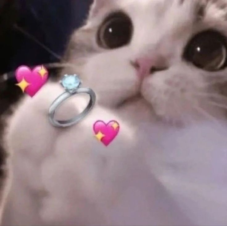 cincin nikah